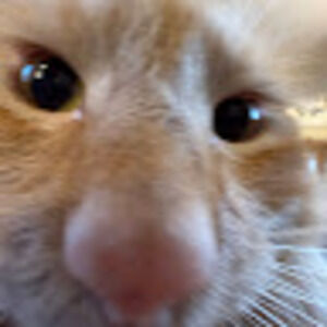 Meet your Posher, Shyla